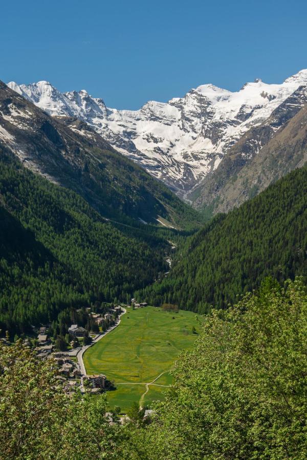 Nido Delle Aquile Apartment Cogne Bagian luar foto