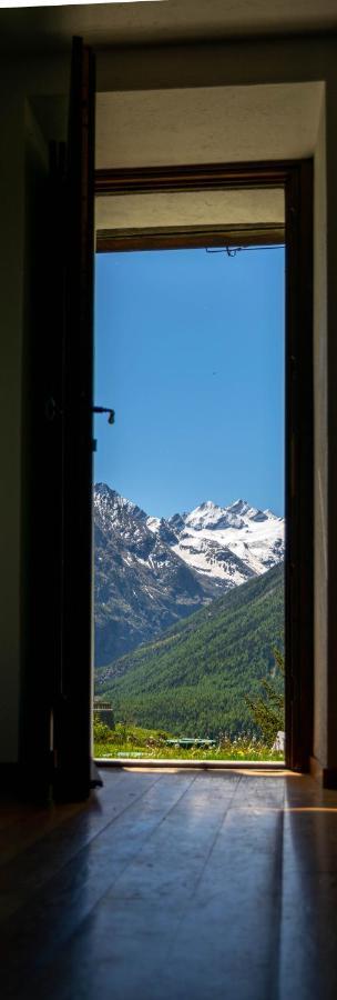 Nido Delle Aquile Apartment Cogne Bagian luar foto